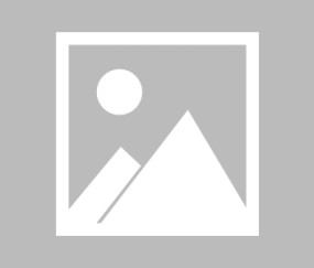 图片报：克洛泽执教的纽伦堡有意租借拜仁年轻中场球员小伊布